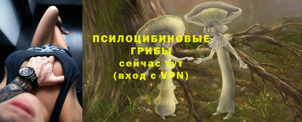 apvp Киреевск