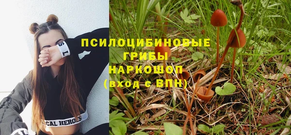 хмурый Киренск